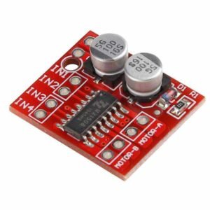 L298-Mini