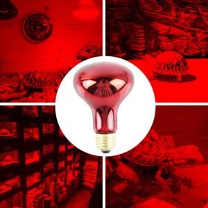 100W Infrared Heat Lamp Bulb Red Light Heat Bulbs 220V