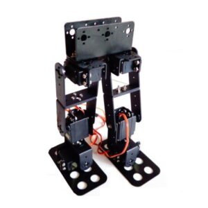 6DOF Biped Robot