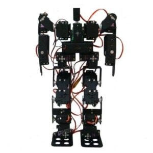 17DOF Humonoid Robot