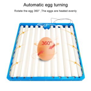80 Egg Rolling Tray (220VAC)