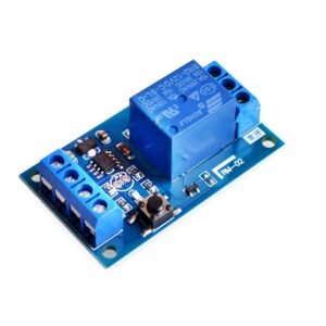 SARA Digital Timer Relay 12V